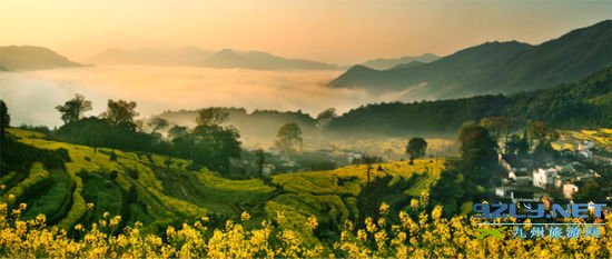 春观油菜花风景就去婺源