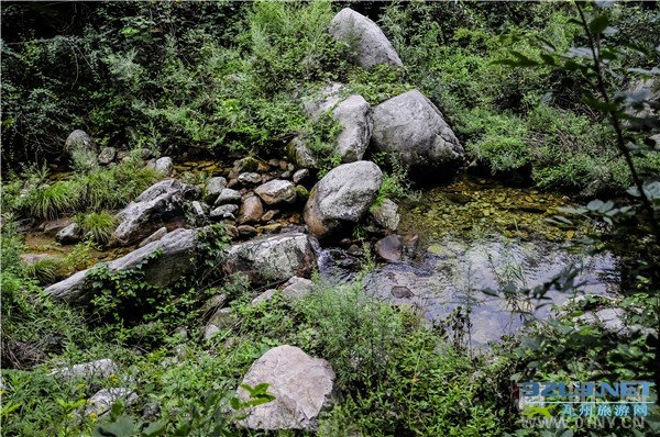 探访水源地——伏牛山天然矿泉水“润之泉”