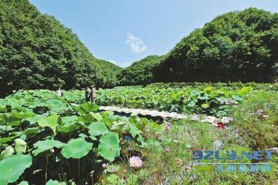 四川广元：挪出穷窝铺富路 业兴村美好风随