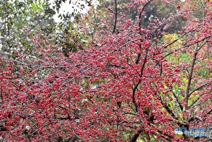 河南南召：伏牛旅游明珠乔端镇