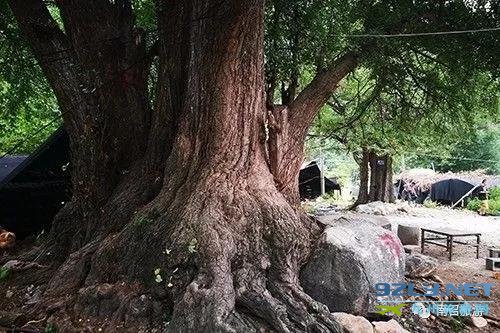 河南南召：伏牛旅游明珠乔端镇