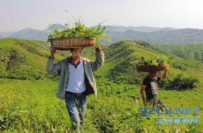 河南鲁山：青山绿水成景点