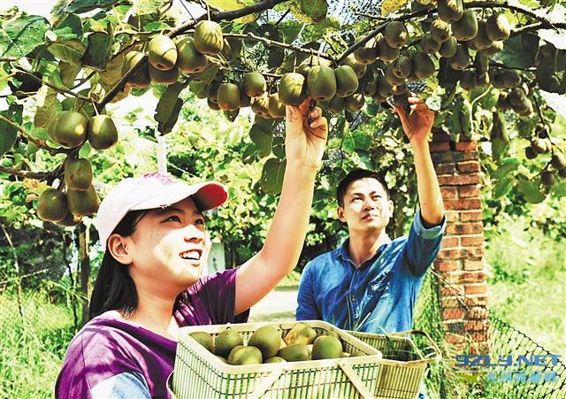 重庆：江津获评“中国富硒美食之乡”