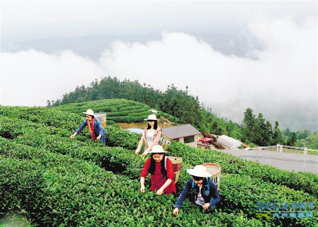 重庆：硒游江津•那些味道十足的线路