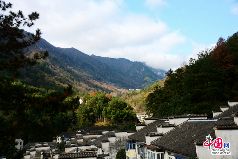 安徽黄山：初冬难留五彩缤纷的秋色