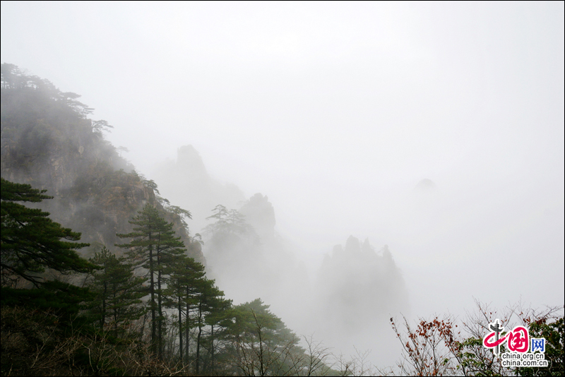 安徽黄山：初冬难留五彩缤纷的秋色