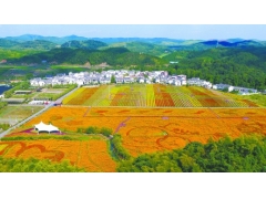 湖南：郴州市北湖区三合村 能人回村造景区