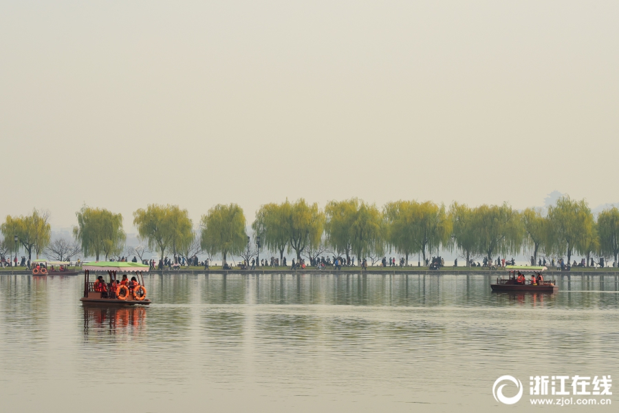 浙江杭州：西湖边 乏黄的柳叶成了冬色中醒目的“风景”