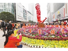 重庆：江北观音桥鲜花扮靓新年