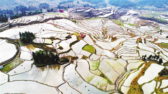 重庆酉阳酉阳花田：清新脱俗的乡村！