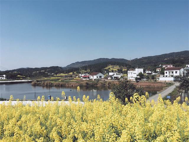 重庆荣昌：全力打造渝西川东休闲度假旅游目的地