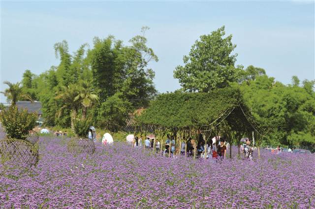 重庆荣昌：全力打造渝西川东休闲度假旅游目的地