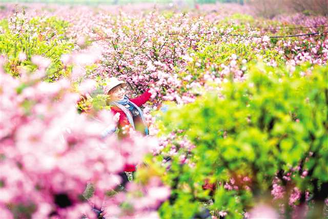 重庆南川：以全域旅游为抓手 以“旅游+”为引领 打造旅游业升级版