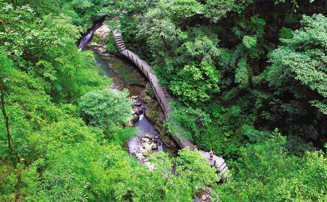 重庆南川：以全域旅游为抓手 以“旅游+”为引领 打造旅游业升级版