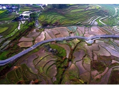 春回大地 万物复苏 华夏大地一派生机盎然 美如画卷