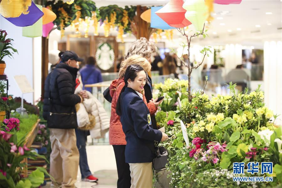 纽约：梅西花展在曼哈顿先驱广场举办