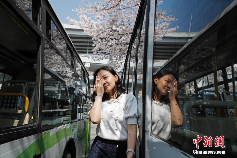 上海：“最美公交站”迎来浪漫樱花季