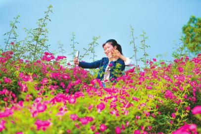 四川：全域旅游“乡村旅游+”推陈出新