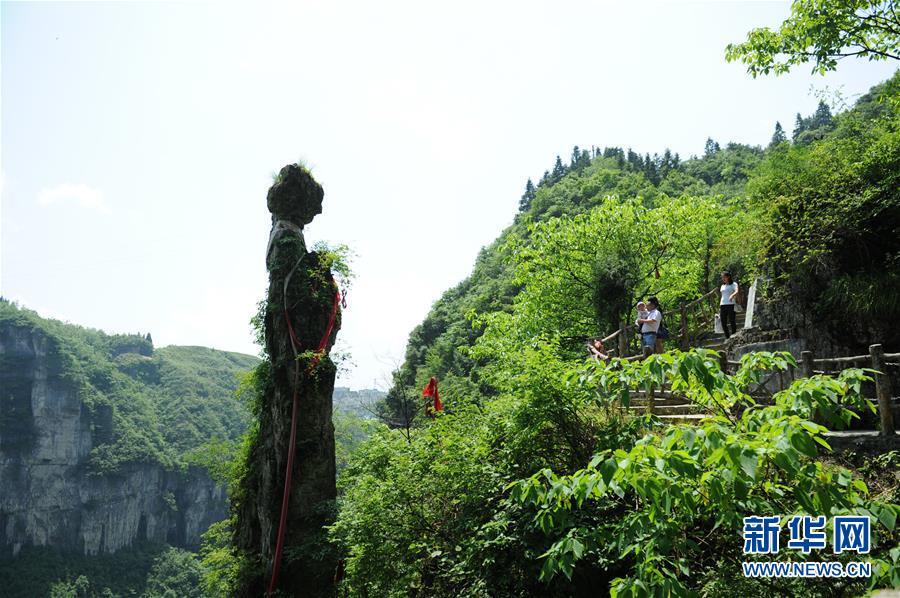 网站首页 首页 国内美景 贵州 2016年以来,贵州省铜仁市万山区积极