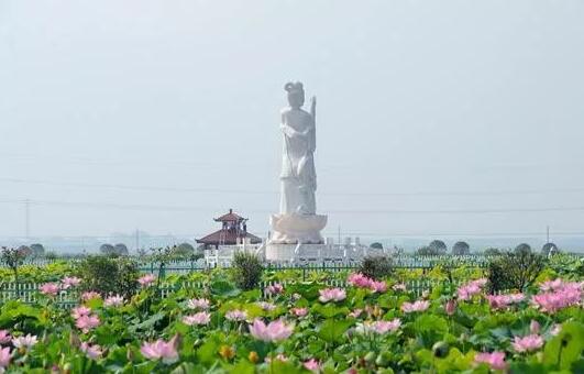 河南：镇平第二届荷花旅游月盛大启幕